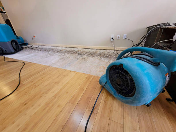 Professional Basement Flood Cleanup technician working in Big Bend, WI